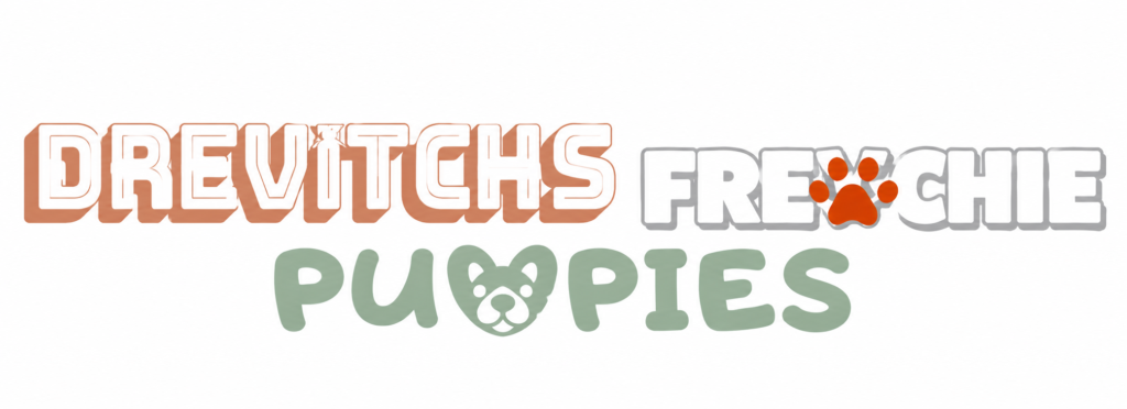 Drevitchs Frenchie Puppies